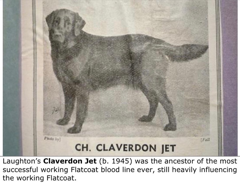 Laughton’s Claverdon Jet