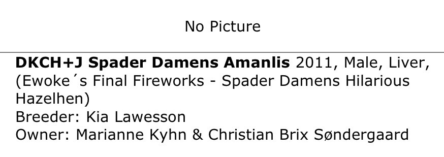 Spader Damens Amanlis